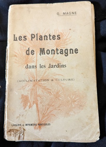 Les plantes montagne g - montagne,