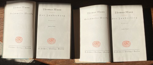 Thomas mann der zauberberg - der,